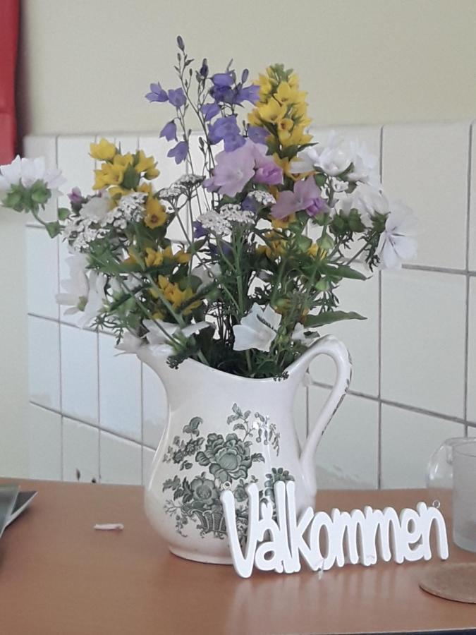 Koersbaerskullen Hostel Vimmerby Luaran gambar